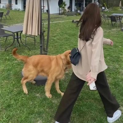蝙蝠女侠第三季